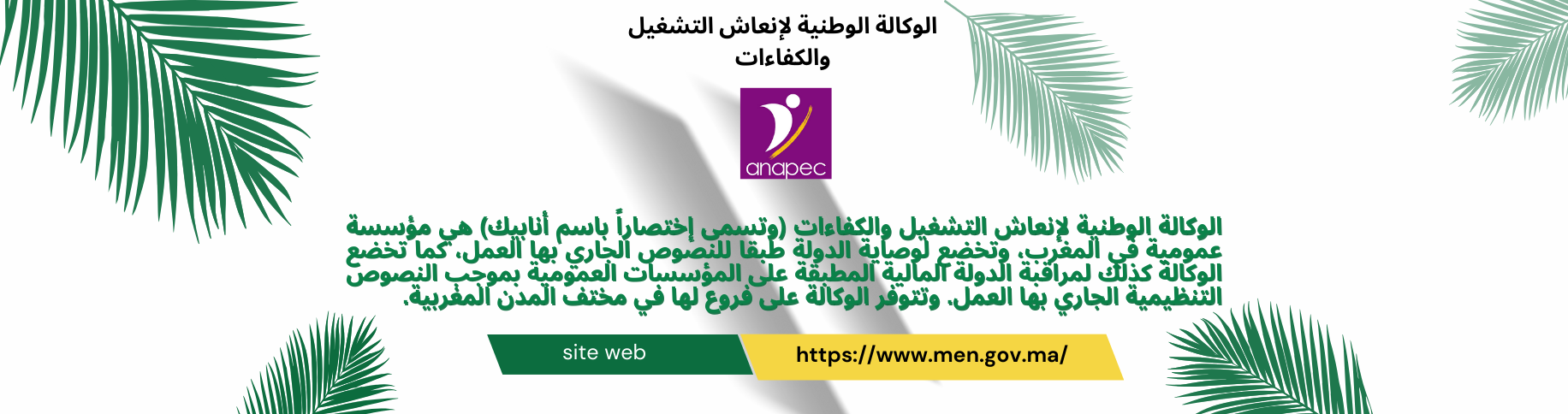 Customer care 123-456-7890 (2)